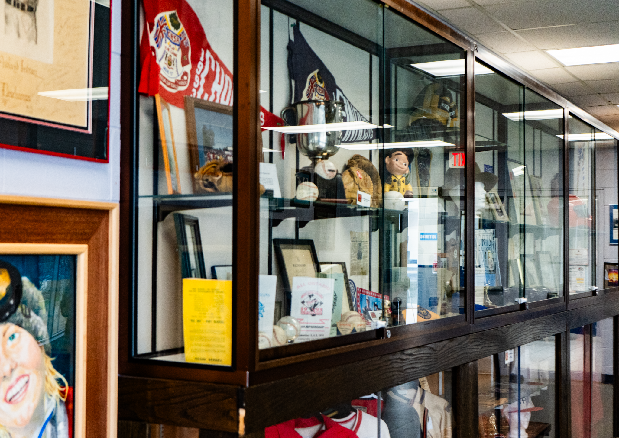 Case with artifacts in it