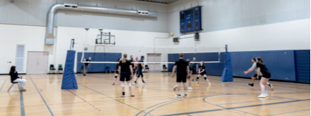 people playing volleyball