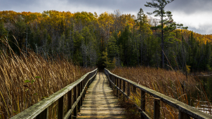 Boardwalk at Awenda Provincial Park Boardwalk at Awenda Provincial Park