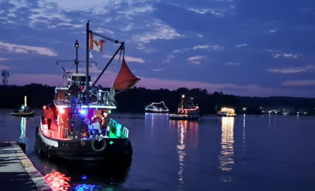 Tug Fest Tug Fest
