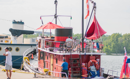 Tug Fest Tug Fest