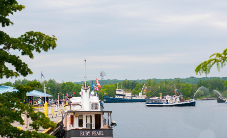 Tug Fest Tug Fest