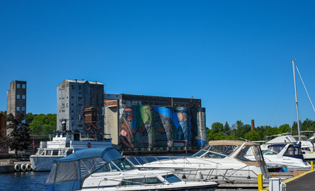 boats in harbour