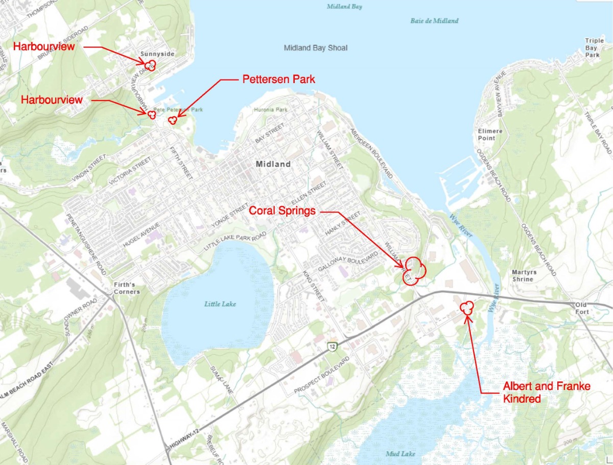 October 2025 Phragmite Treatment map map of treatment locations