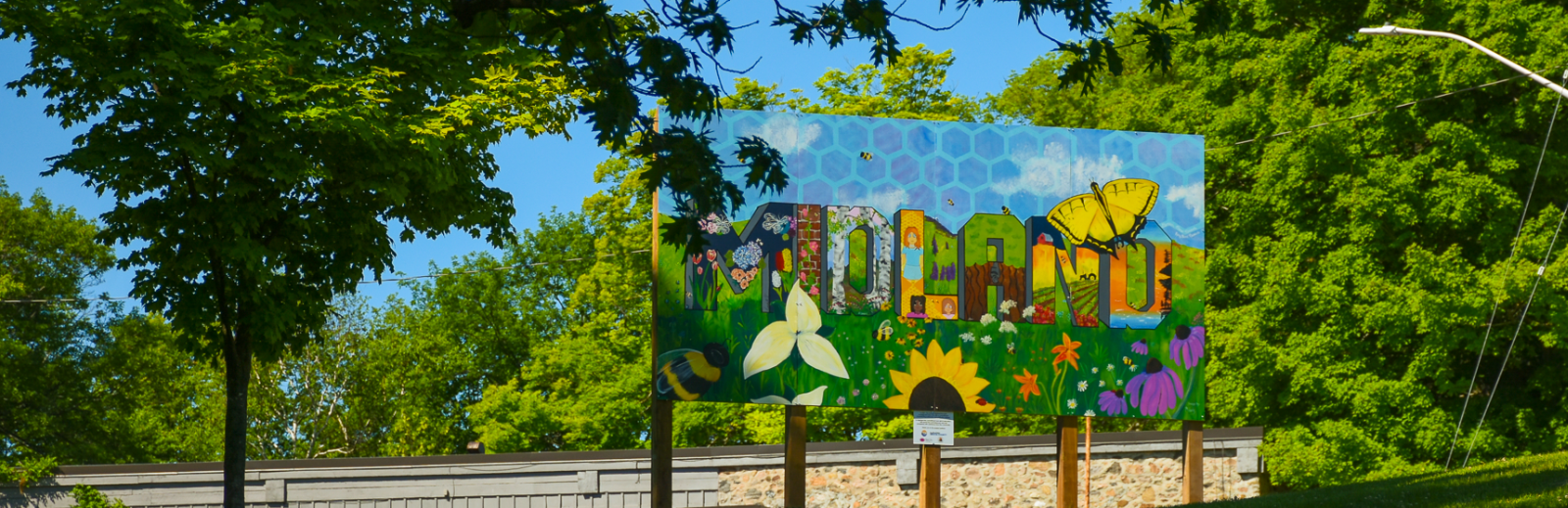 Midland Intergenerational mural in the park