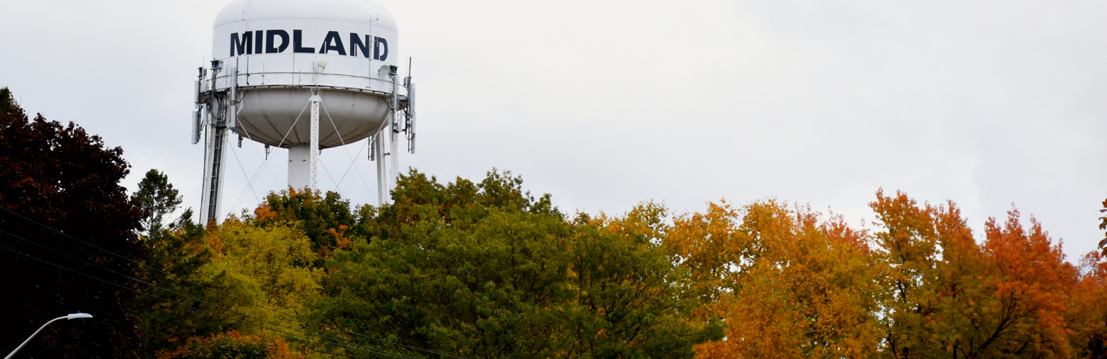 Trees with Midland Water Tower