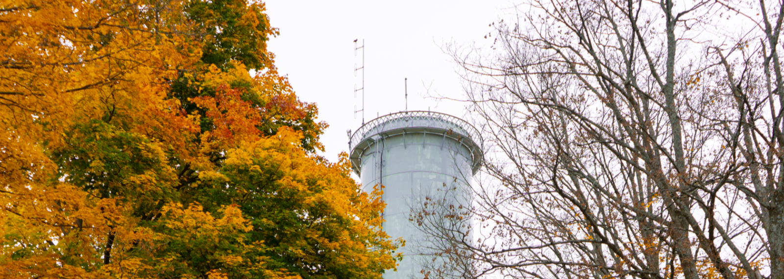 water tower with trees around