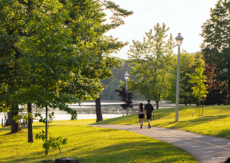 People walking on path 