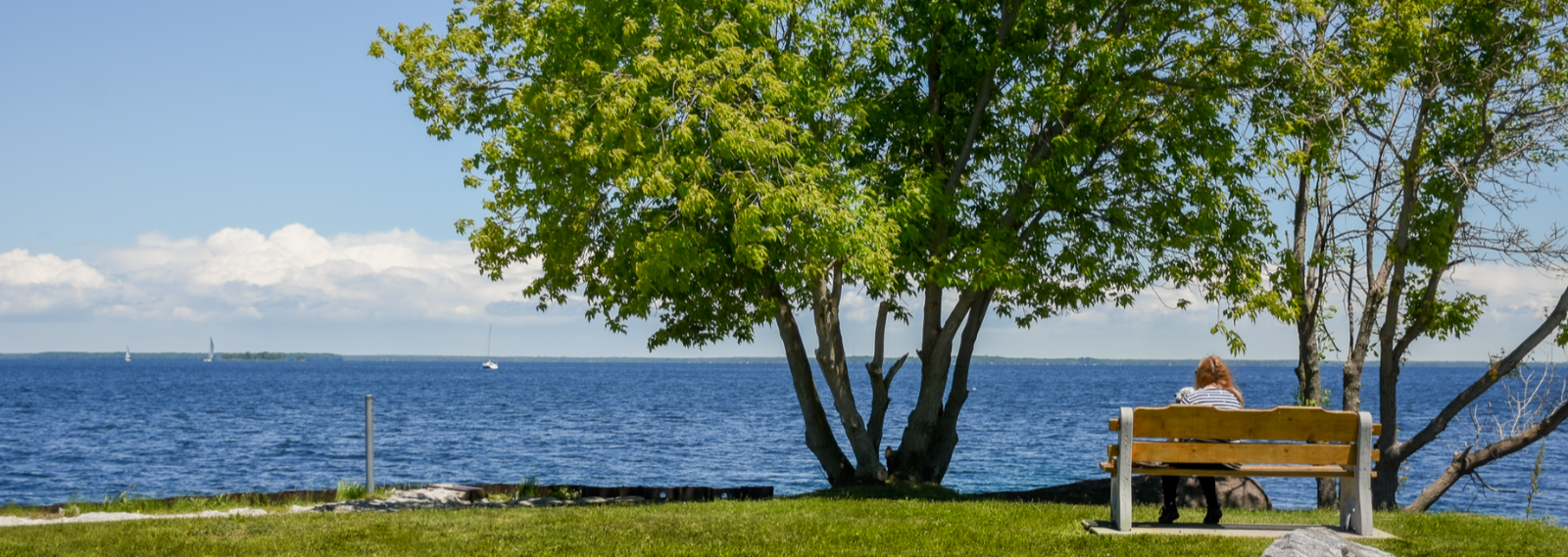 person sitting on bench looking at water