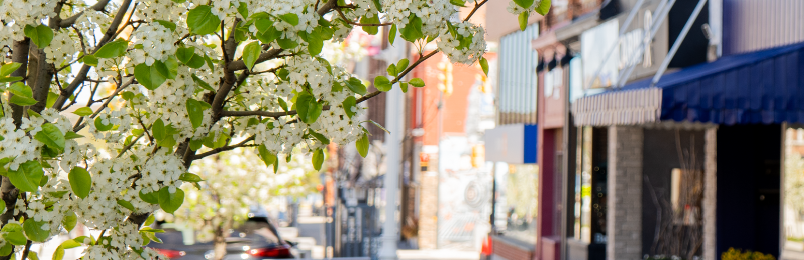 Flowers downtown