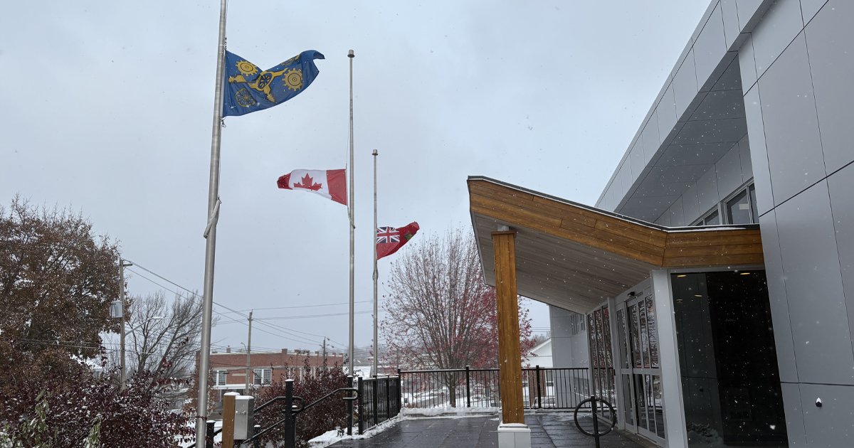 Three flags are flying at half-mast outside a modern building with a wooden entrance canopy. Snow is falling lightly, and the ground and trees are dusted with snow.