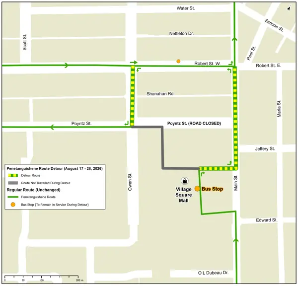 A map showing a temporary Midland-Penetanguishene Transit detour from August 17 to 28, 2026, due to the closure of Poyntz Street. The detour route is highlighted in yellow and green around Robert Street, Main Street, and Village Square Mall, with one bus stop remaining in service and the closed section of the regular route shown in gray.
